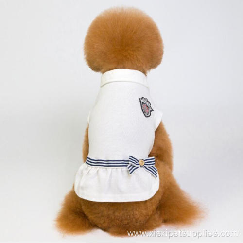 Fashionable lovable nice blank female dog dress clothes